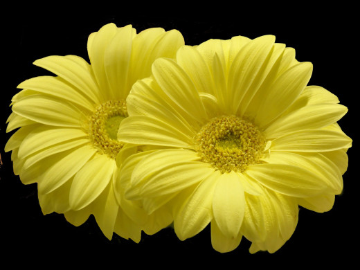 429554 (a): :1600x1200